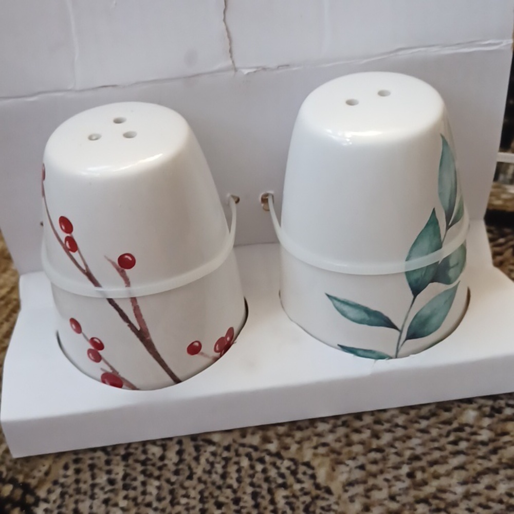 4/$40 New Salt & Pepper Shakers